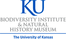 University of Kansas